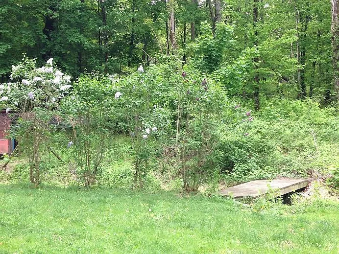Creek Rd — Photo 35