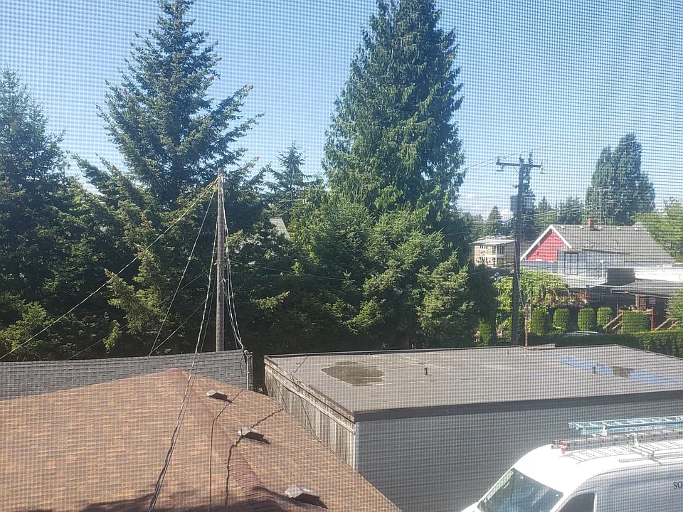 View from Kitchen. Western exposure