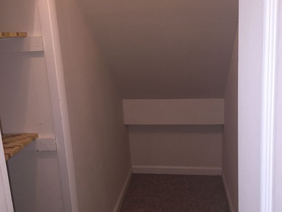 extra storage closet with shelving