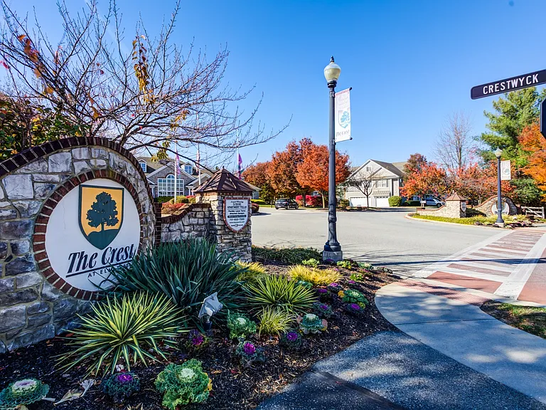 The Crest at Elm Tree — Photo 21