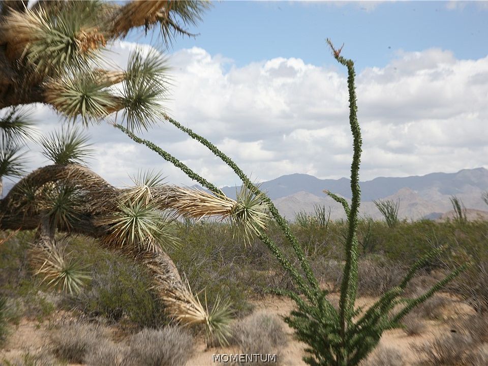 1st image of 242-05-015, 016 Gene Autry Road
