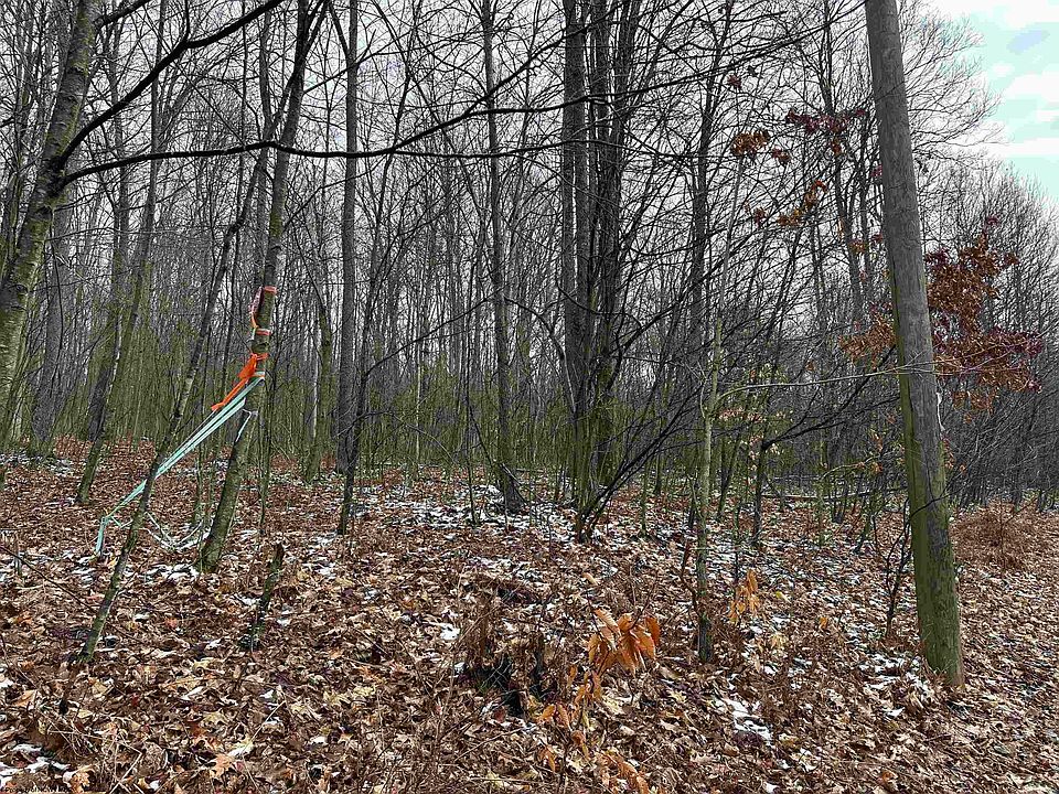 LOT 14 Hudson Rd, Albright, WV 26519 Zillow