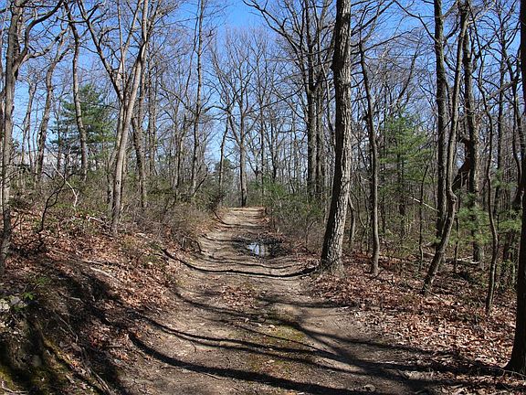 2nd image of 564 Jesse Ln Lot Wp001