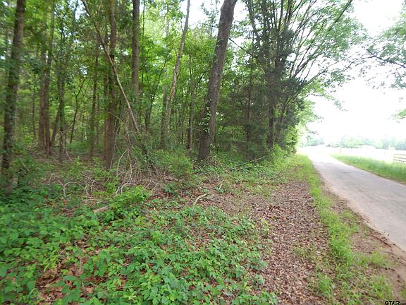5th image of Woodchuck Rd