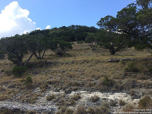 1st image of 452 Dusty Saddle