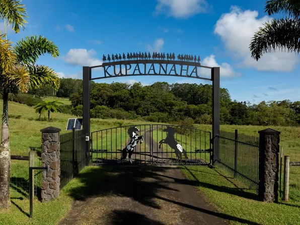 29-596 Chin Chuck Rd, Hakalau, HI 96710