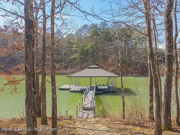 Image 5: Dock