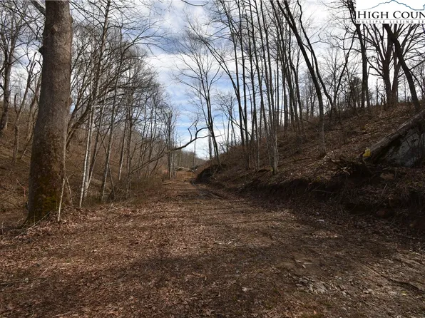 000 Albert Phipps Road, Crumpler, NC 28617