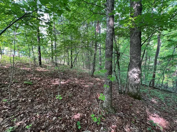 9 Acre Leonard Ln, Murphy, NC 28906