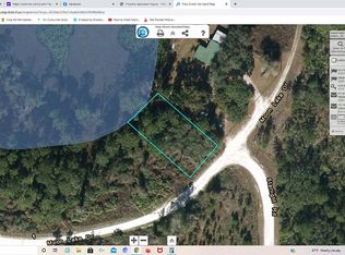 112 Moon Lake Dr, Crescent City, FL 32112