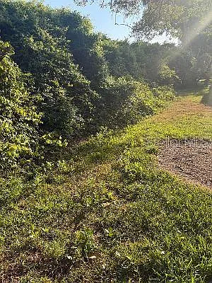 3455 Countryside Blvd #4 — Photo 5
