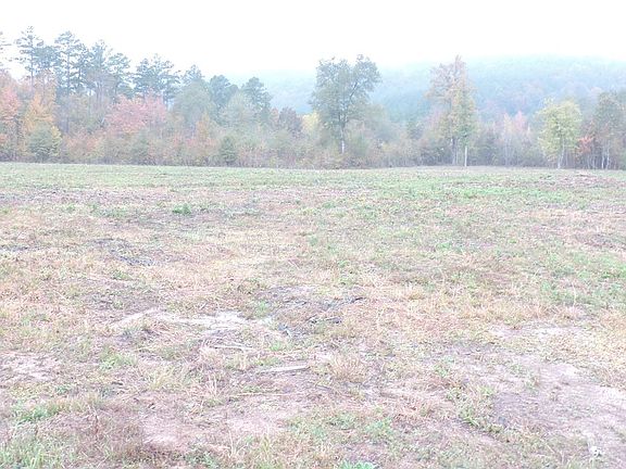 5th image of 17514 Highway 250