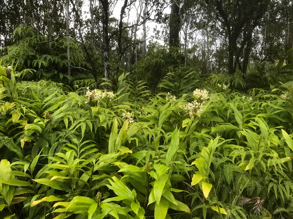Kaleponi Rd Lot 31, Volcano, HI 96785