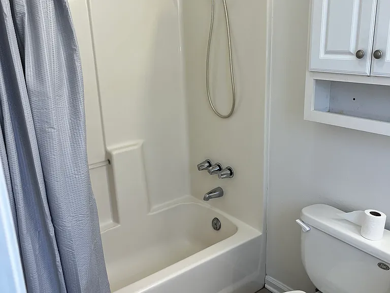Guest/hall bath
