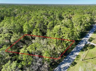 West Dr LOT 96, Wesley Chapel, FL 33544