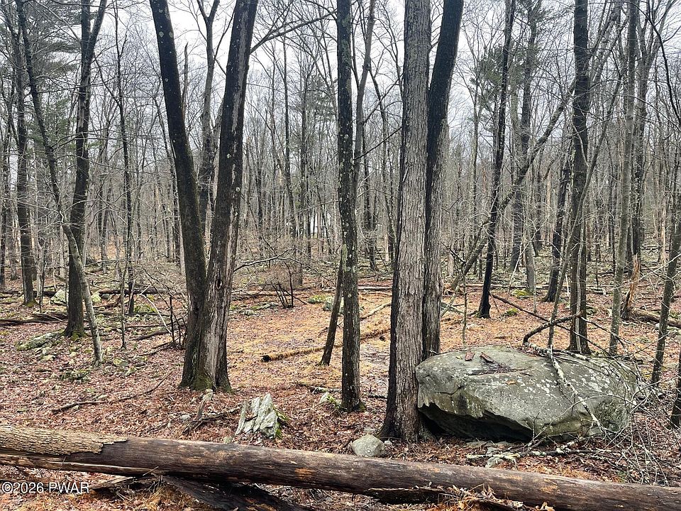 1st image of Witch Hazel Ln