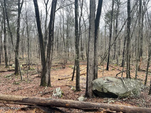 Witch Hazel Ln, Milford, PA 18337