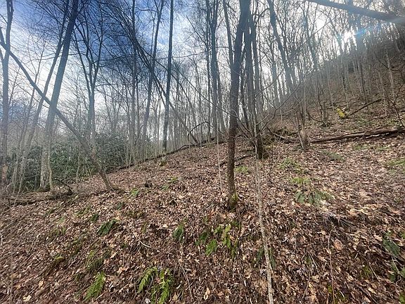 2nd image of 0 Beech Creek Rd