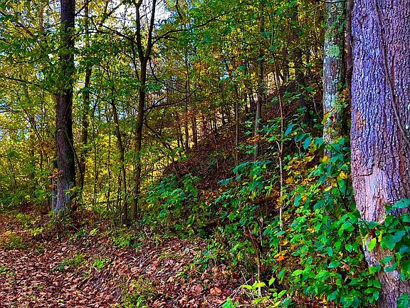 5th image of 412 Shoemaker Rd