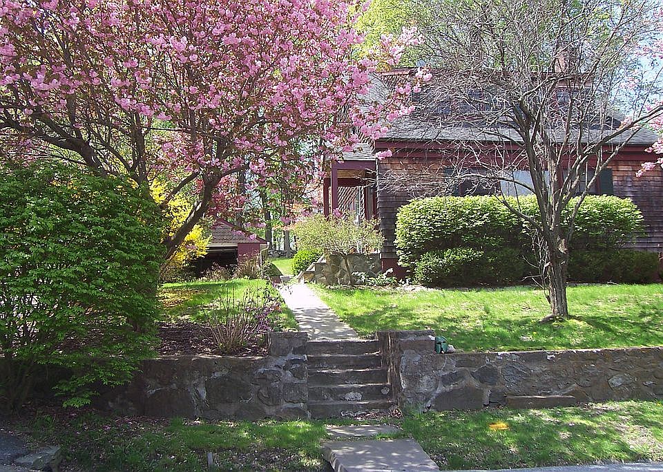 Beautiful Flowering Trees