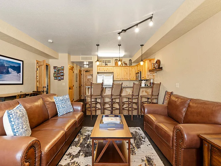 Living Room with Sleeper Sofa