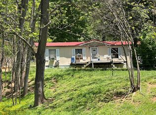 47 Little Creek Rd, Clyde, NC 28721