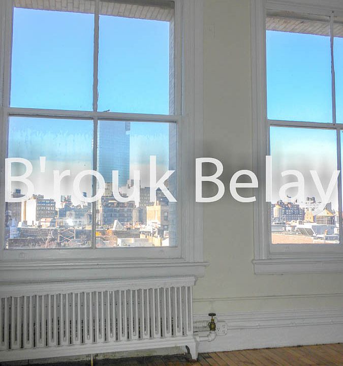 1st image of 454 Broome St #8W