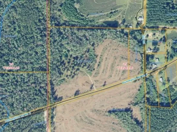 Dummyline Rd #1, Franklinton, LA 70438