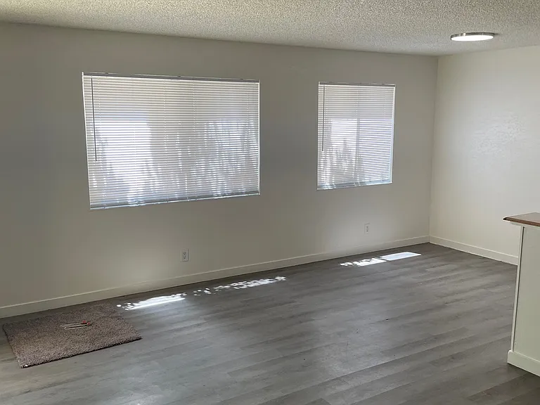 Living room & Dining room windows