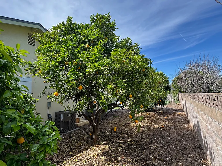 81 Richford Ln — Photo 4