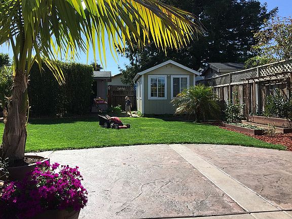 Backyard and mancave