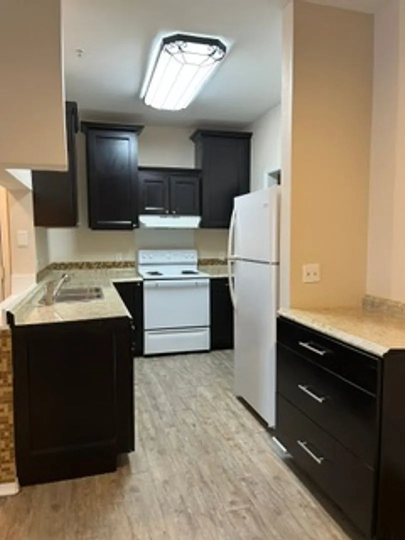 $300 Off First Months Rent! - The Preserve At Temple Terrace — Photo 3