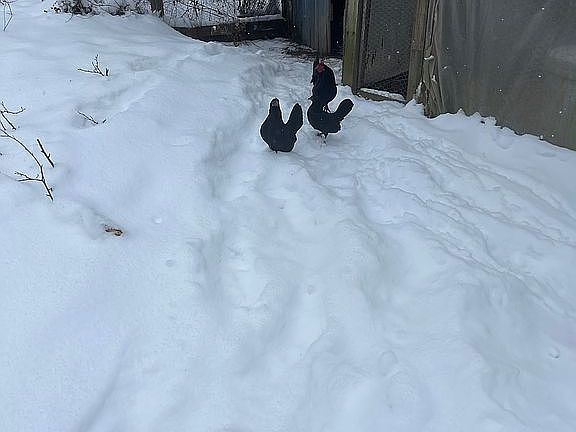 3rd image of 1250 Braintree Hill Rd