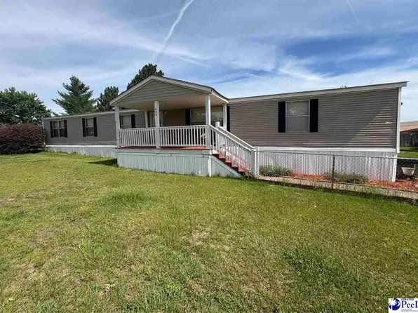 455 Bbb Cir, Patrick, SC 29584
