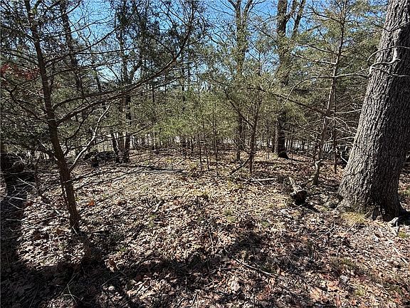 4th image of Rocky Top Circle F