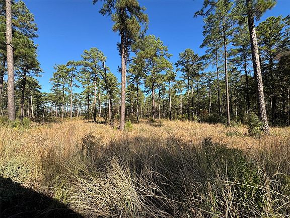 5th image of 65 Private Road 6026 Lot 65