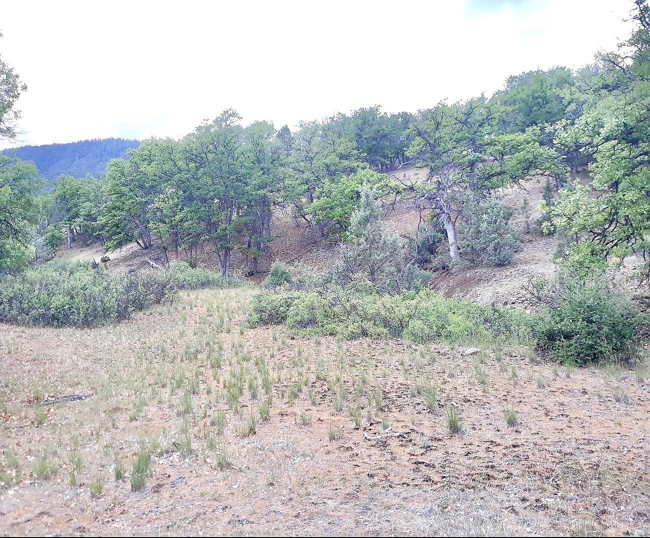 Ager Rd, Hornbrook, CA 96044 MLS 20230565 Zillow