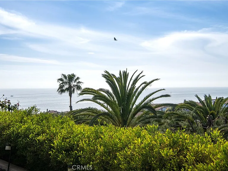 6 Surfspray Blf — Photo 3
