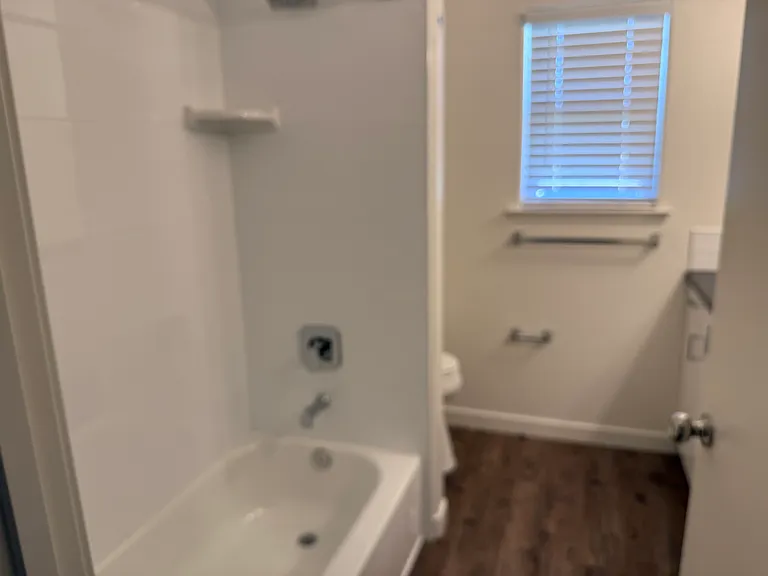 hall bathroom