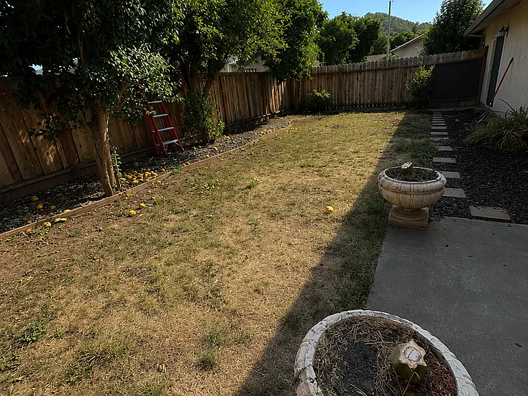 744 Beythe Ln — Photo 8