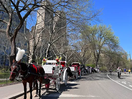 Rented by Jade Stone Real Estate Consulting | media 52