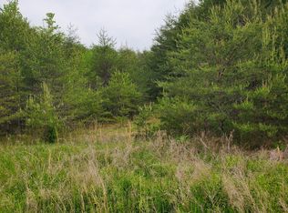 0 Highwater Rd LOT TR 4, Waverly, TN 37185