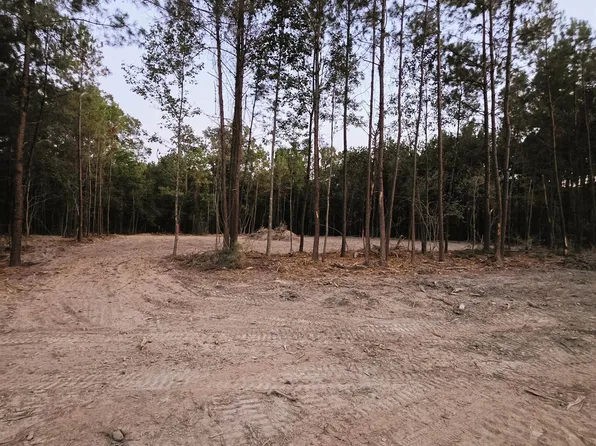 17255 Jack Allen Rd, Livingston, LA 70754