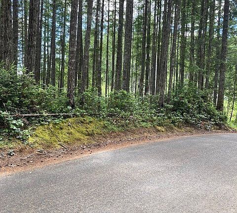 2nd image of 9920 Fairview Lake Road SW