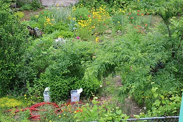 Rented by H L Dynasty Real Estate Corp