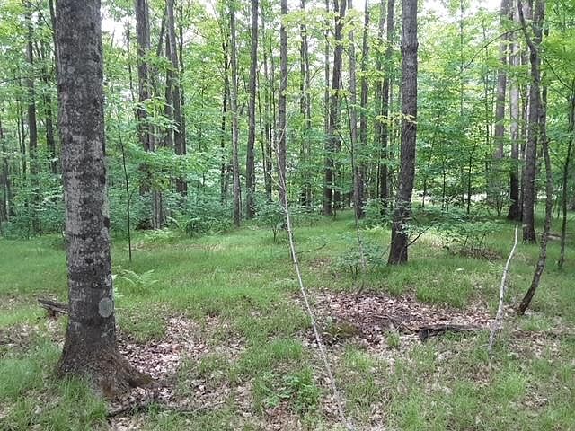 2nd image of Renberg Rd Lot 3