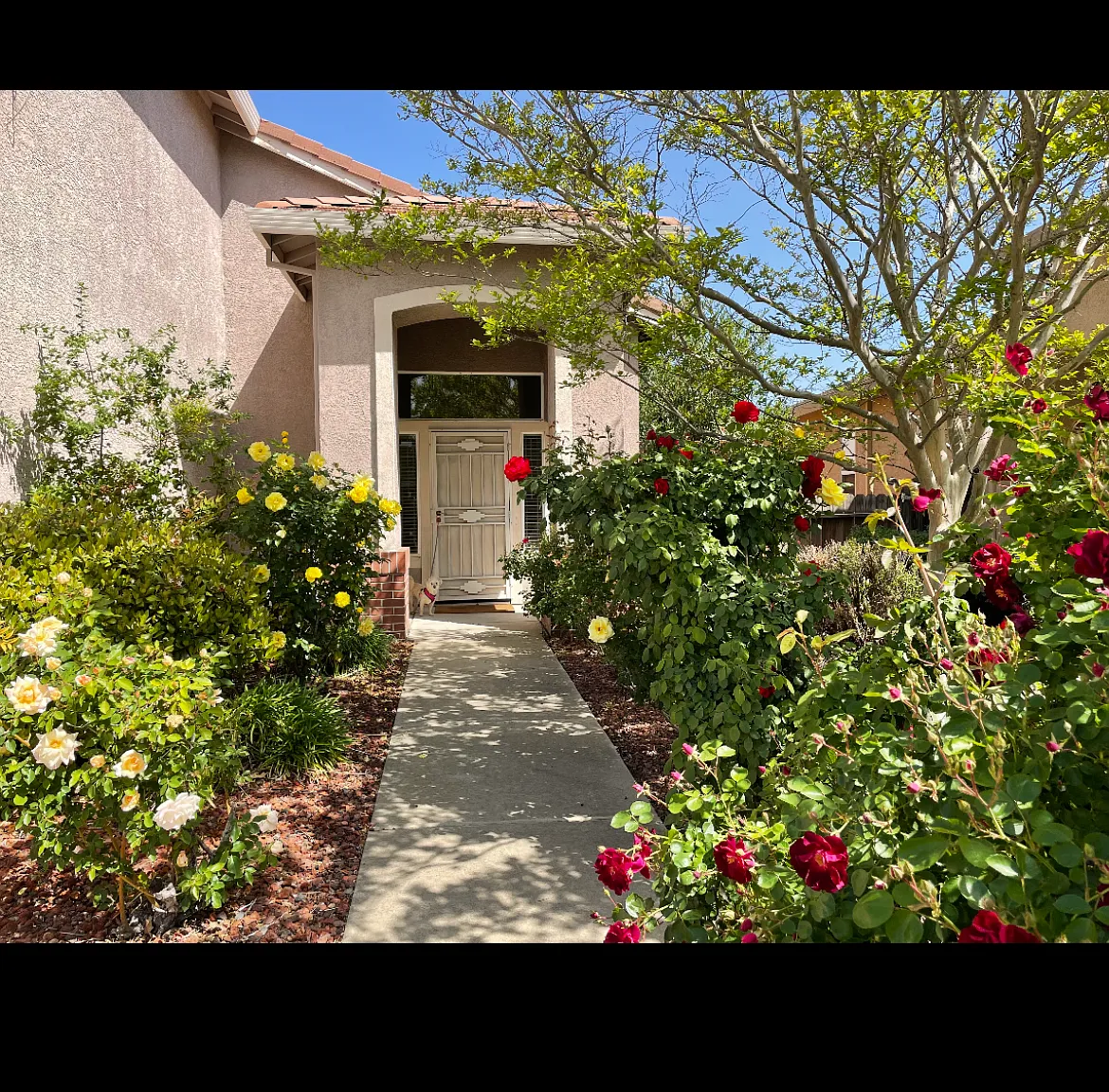 Auvernat Dr, Rancho Cordova — Photo 1