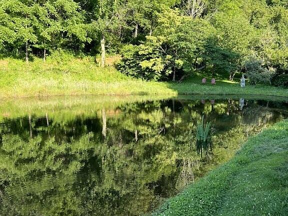 3rd image of 451 Heaton Creek Rd