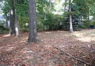 wooded lot