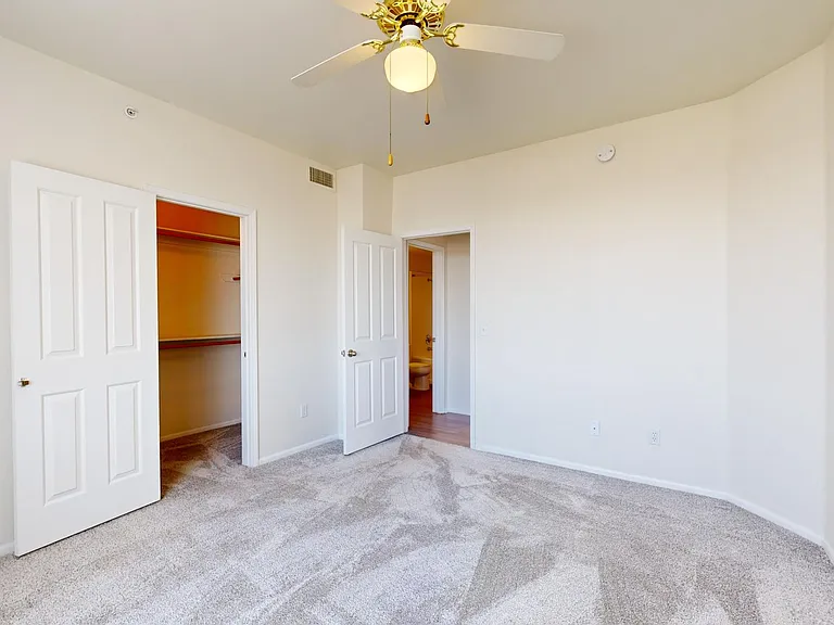 Spacious apartment bedroom with large closet and plush carpet flooring.